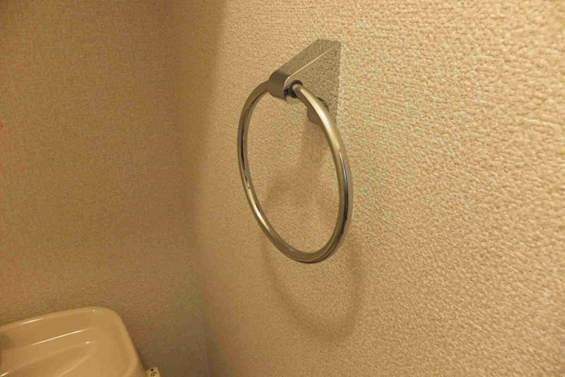 ルイエ西大井 トイレにはタオルハンガーが付いています