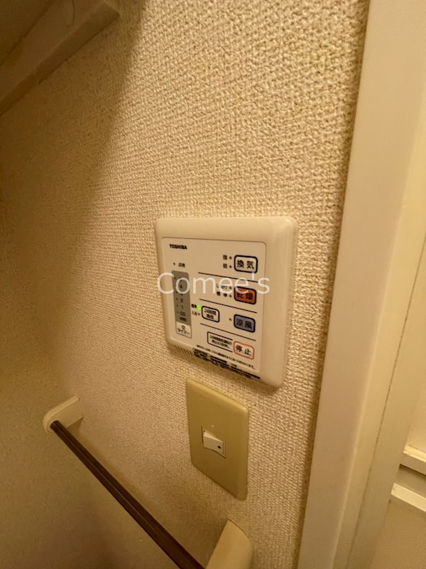 Ａｃｅｒｏ その他