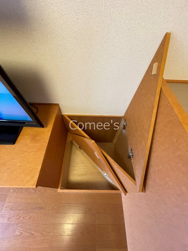Ａｃｅｒｏ その他