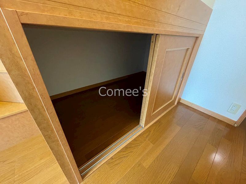 Ａｃｅｒｏ その他