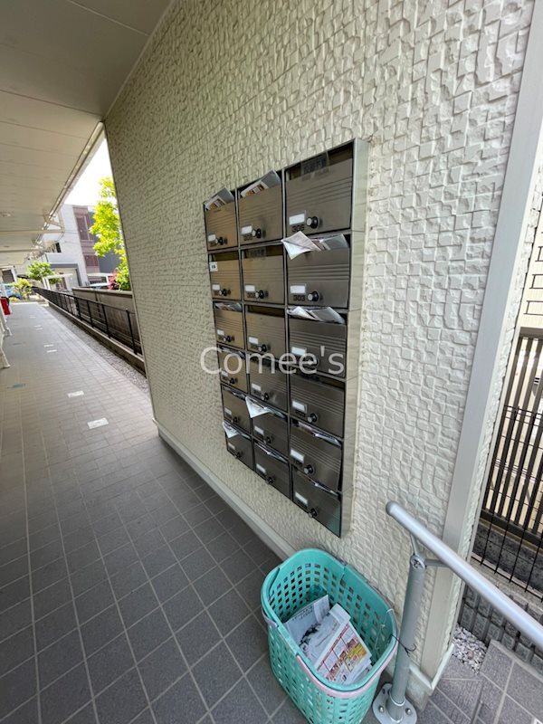 パタータ その他