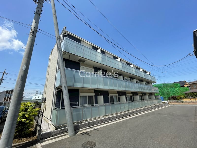 パタータ その他