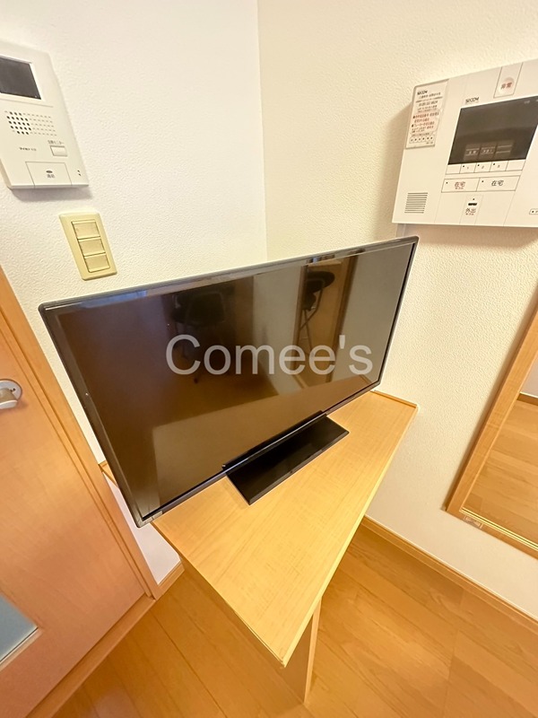エクセルハイムⅡ  テレビ