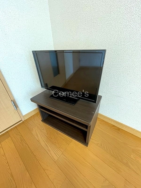 プリマベーラ大成 テレビ