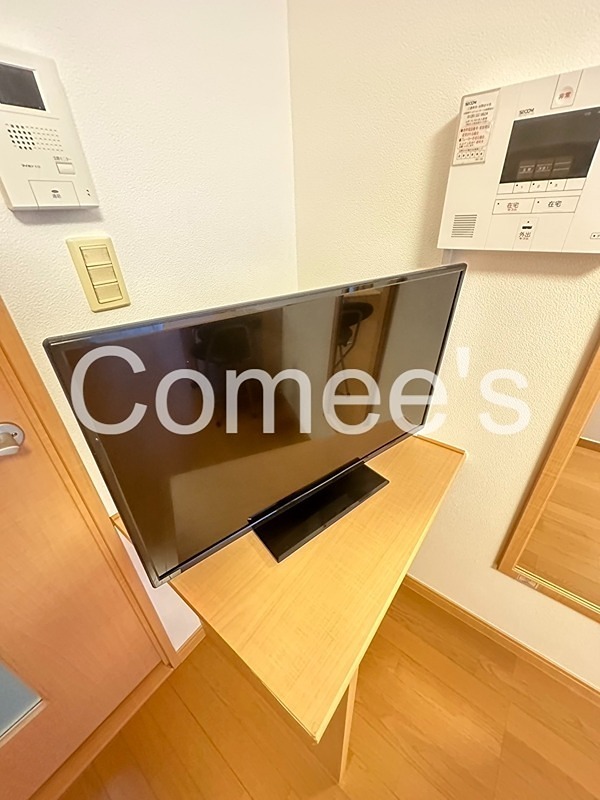 藤 テレビ