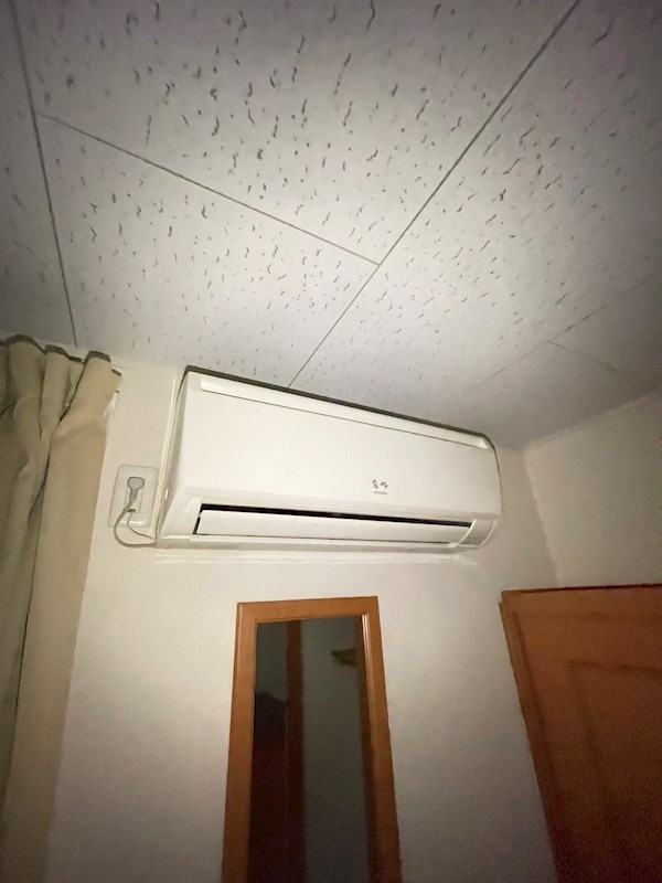 アルテイル その他