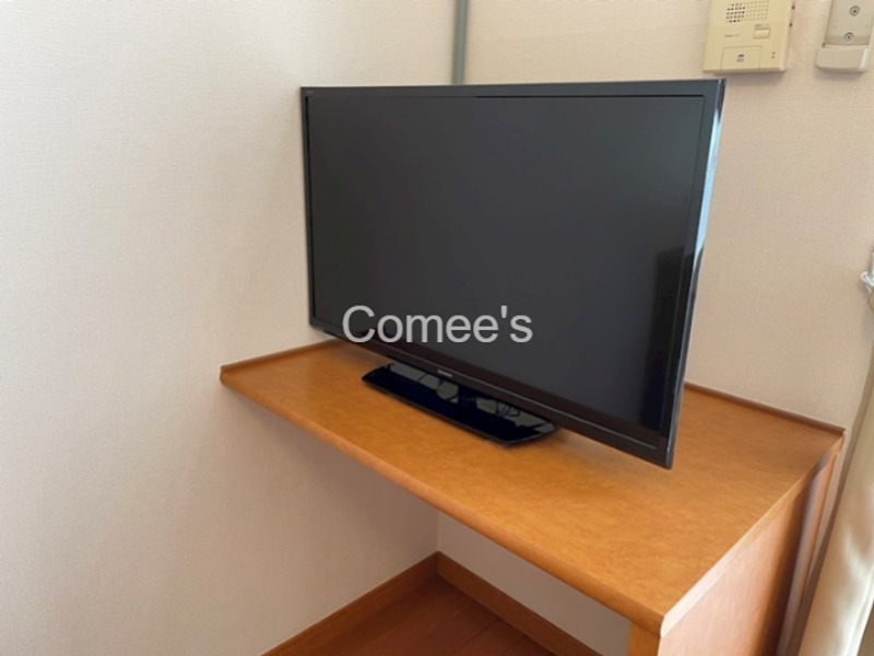 Ｌｉｎｄｅｎｂａｕｍ   テレビ