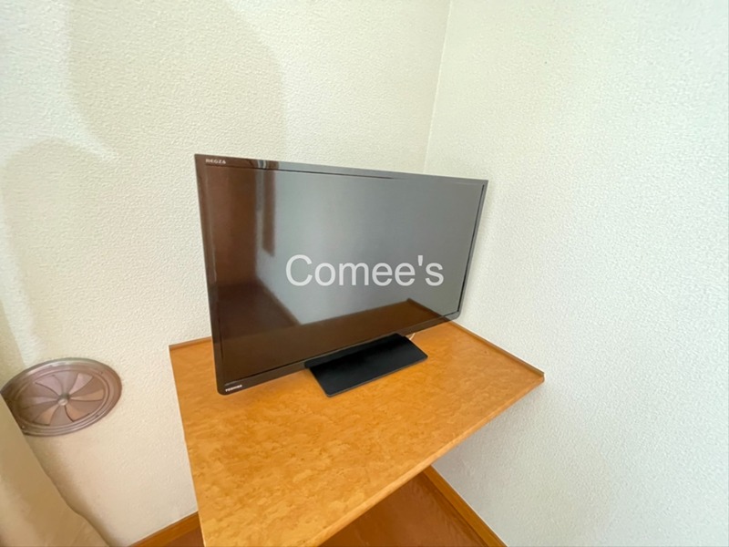 ＥＣＨＯ テレビ