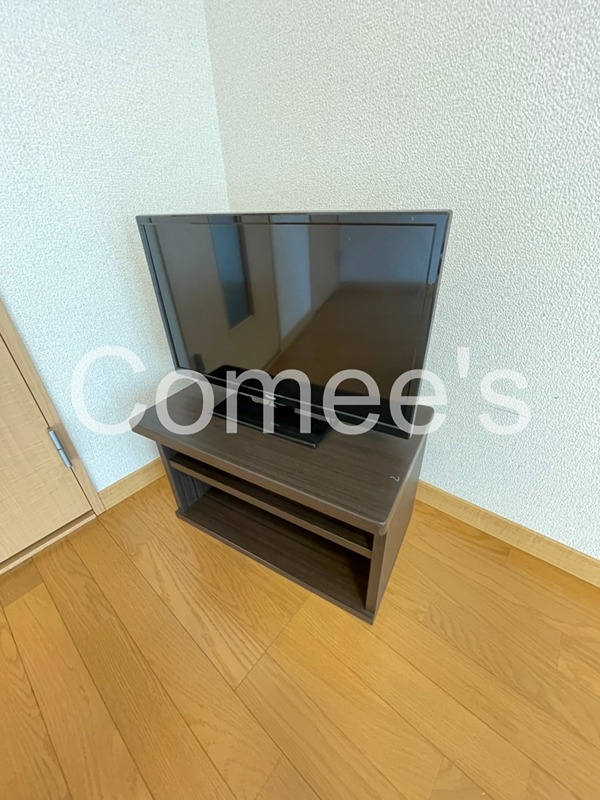 チェリーブロッサム テレビ