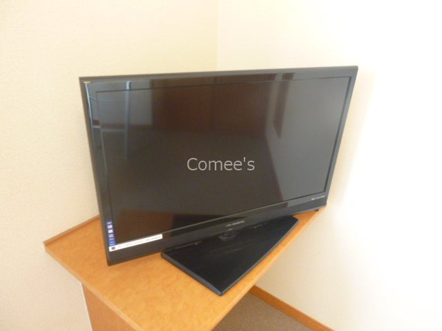 ひばり テレビ