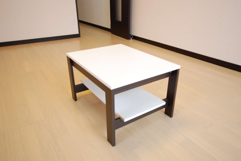 レオネクストパルティア その他