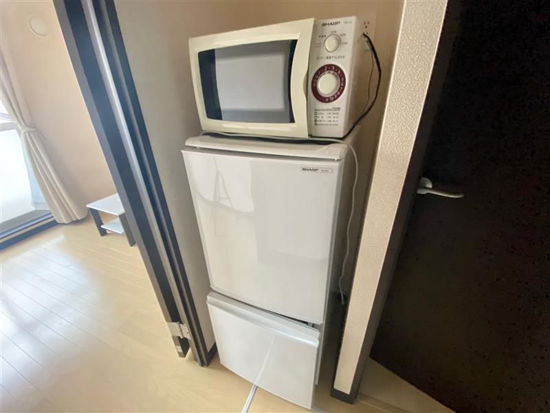 レオネクストウェルハート その他