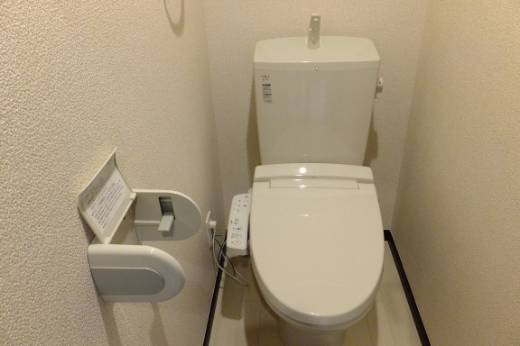 レオネクストウェルハート その他