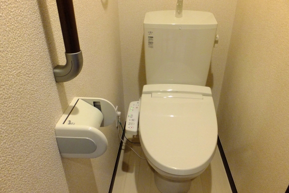 レオネクストウェルハート その他