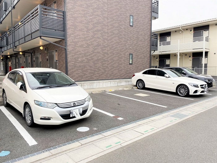 レオネクストジオイド その他