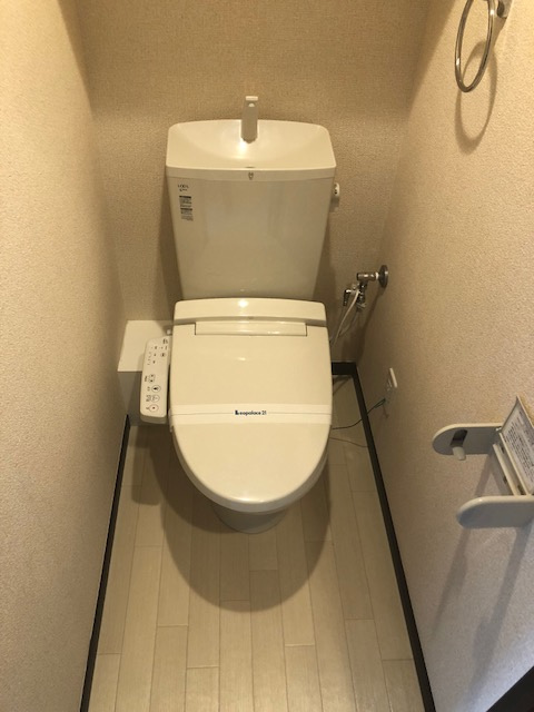 レオネクストジオイド その他
