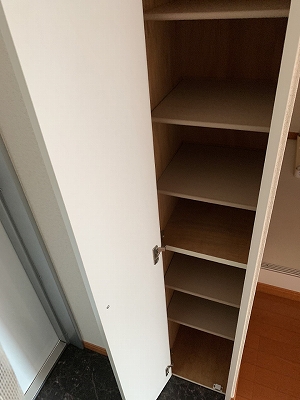 レオパレスパタータⅢ その他