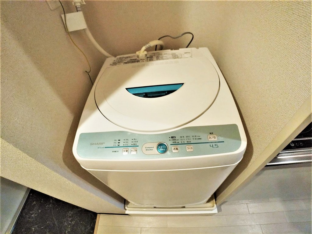 クレイノフラーズ　アント　ルポ 洗濯機