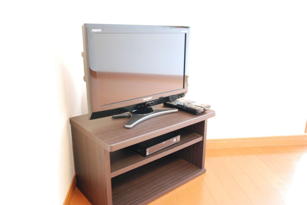 レオパレス弘法 テレビ