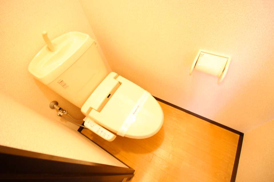 レオネクストヴォラーレ その他