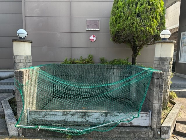 レオパレスバイオレット その他