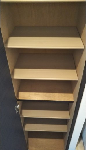レオネクストレーブウィン その他