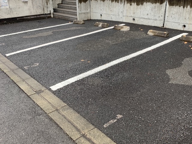 レオネクストパラティーノ その他