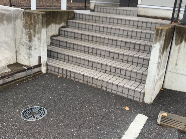 レオネクストパラティーノ その他
