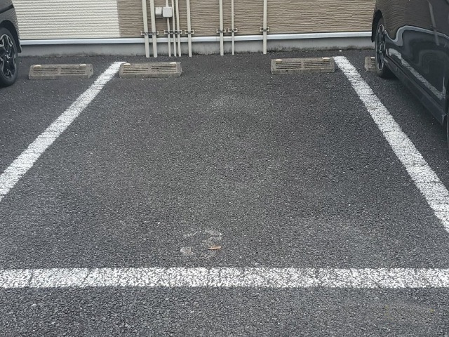 レオネクスト優香里 その他
