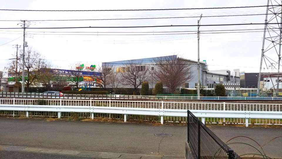 レオネクストシャンローズ その他