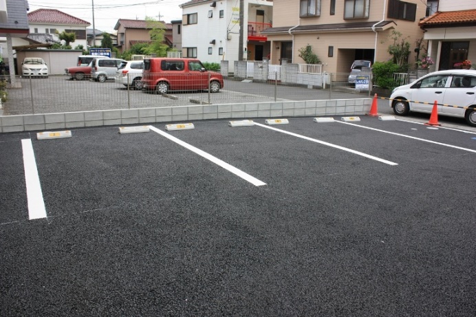 レオネクストラブバード その他