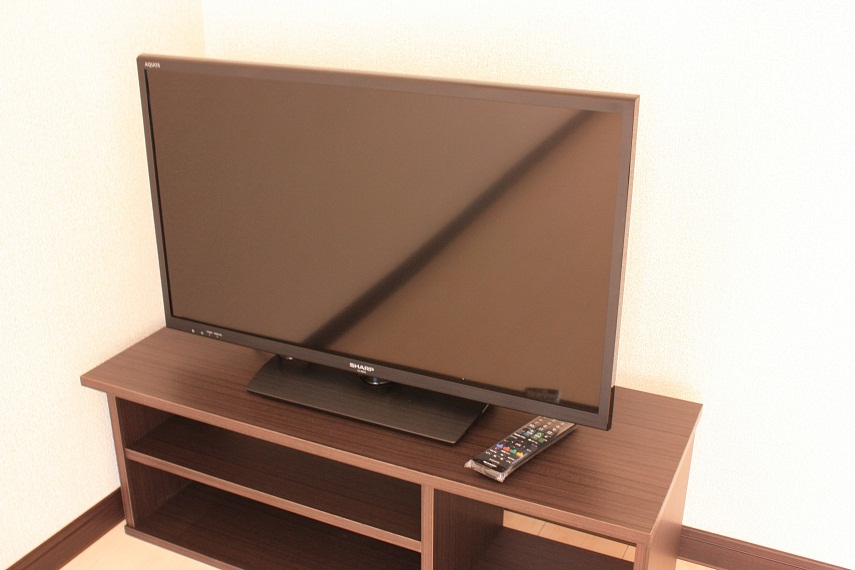 レオネクストグランデーム越谷 テレビ、未完成につきイメージ画像になります。
