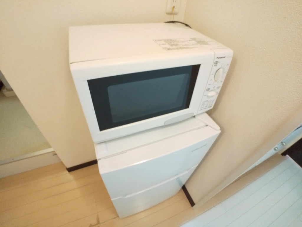レオネクストパークハイツ　Ｂ 電子レンジと冷蔵庫