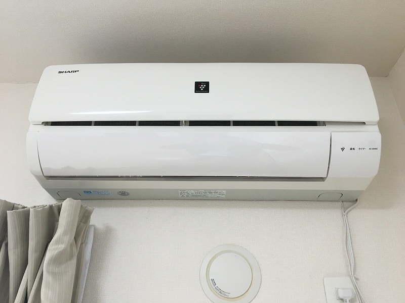 レオネクストヴィーダフォルトナ その他