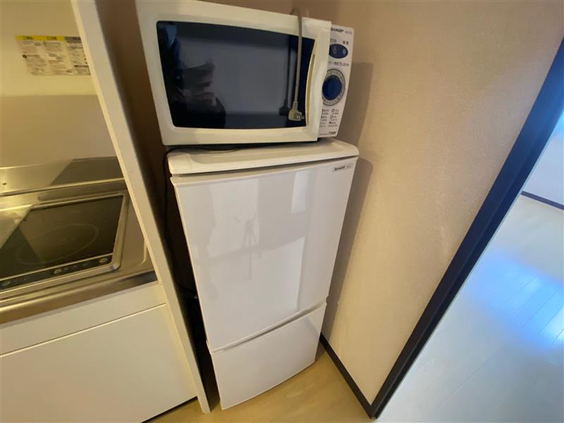 レオネクストニシダイ その他