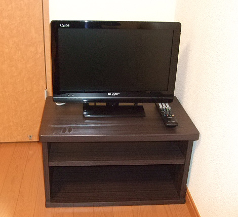 レオパレスタートルクレインⅡ その他