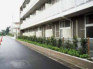 レオパレスＮＩＳＨＩＧＡＩⅡ 外観